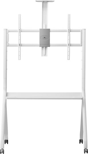 Maclean Energy MC-114 W TV Mount Floor up to 100" and 10kg White