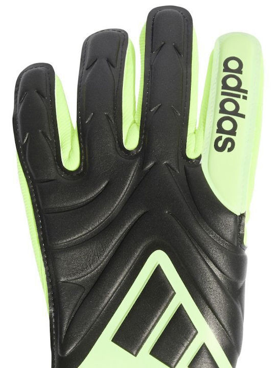 adidas Copa Gl League Kids Goalkeeper Gloves Green