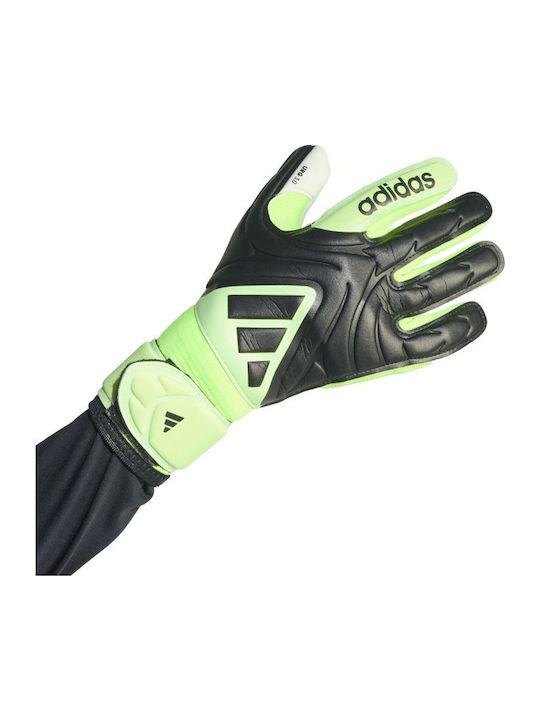 adidas Copa Gl League Kids Goalkeeper Gloves Green