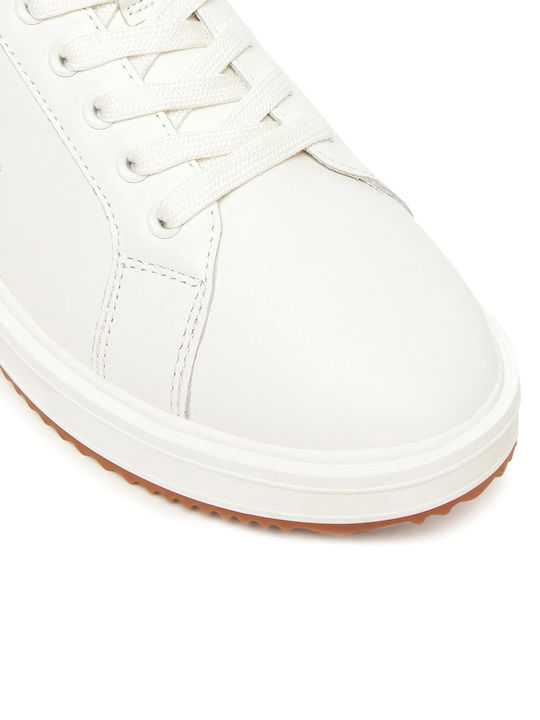 Top Lace Sneakers Snow White / Lauren Tan