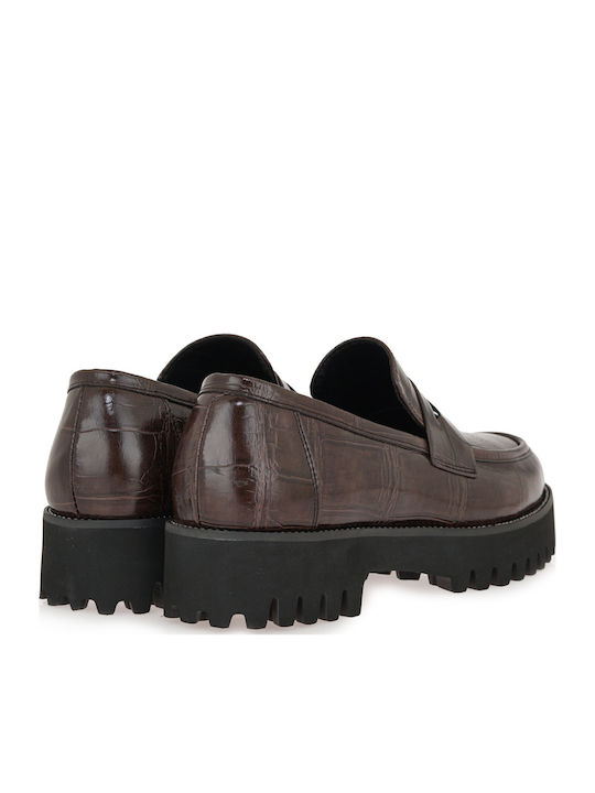 Women's Loafers in Brown Color