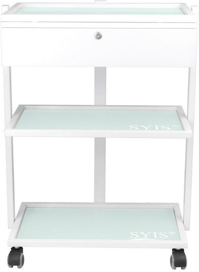 Hair Salon Maintenance Cart