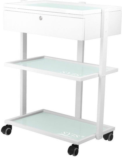Hair Salon Maintenance Cart