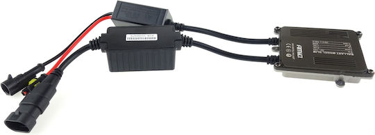 AMiO Xenon Σετ Φωτισμού Αυτοκινήτου H8 Can bus 55W 12V Ψυχρό Λευκό