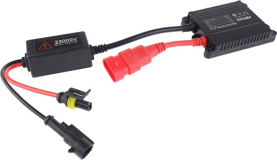 AMiO Xenon Σετ Φωτισμού Αυτοκινήτου D2S 35W 12V 6000K Ψυχρό Λευκό