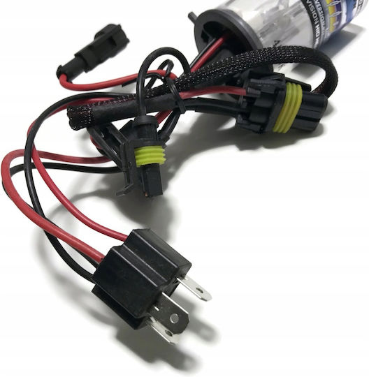 Interlook Xenon Set de Iluminare H4 Can bus 110W 12V
