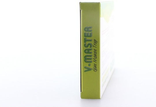 V Master Leimfalle aus Plastik 2Stück