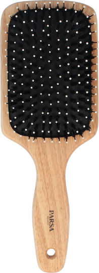 Parsa Bürste Haare