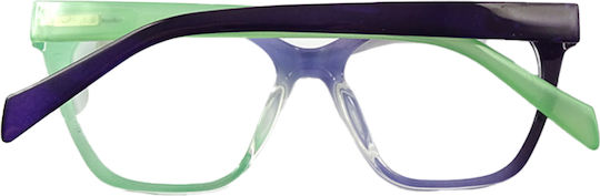 Husă Ochelari de citit +3.00 Multicolor