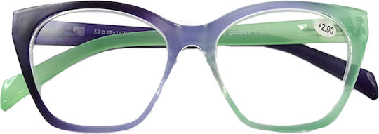 Husă Ochelari de citit +3.00 Multicolor