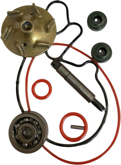 Φλάντζες Αβ Σετ 58mm Std Honda Sh 150cc/pantheon 150cc Fes Κ.α Roc121959