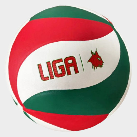 Liga Sport Μπάλα Βόλεϊ Indoor Νο.5