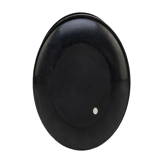 Raymarine Boat Depth Sensor