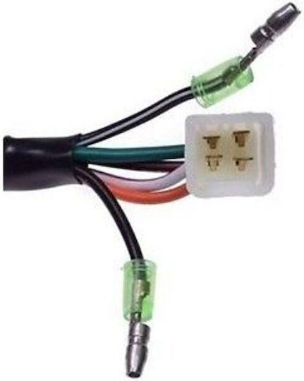 Motorcycle Electronics