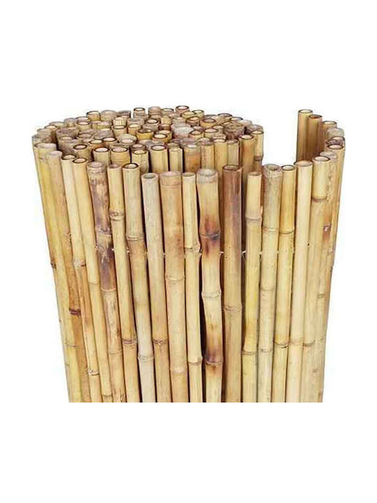Бамбукова Изделие с Целият Рийд 1x3м 11-11-10030