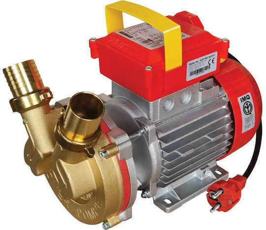 Rover Pompe BE-M 35 Single Phase Transfer Pump with 1 - 1/4" Inlet and 1hp Horsepower