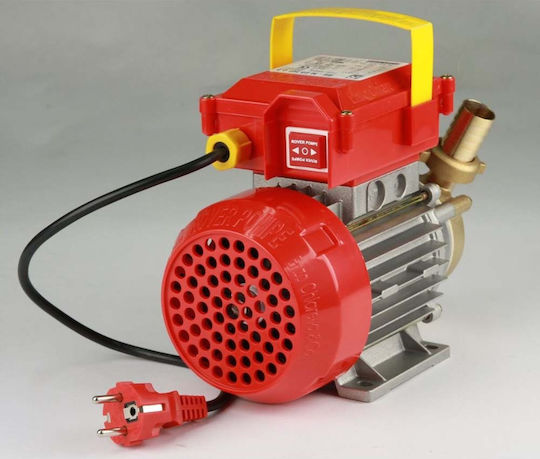 Rover Pompe Single Phase Transfer Pump with 1 - 1/4" Inlet and 1hp Horsepower