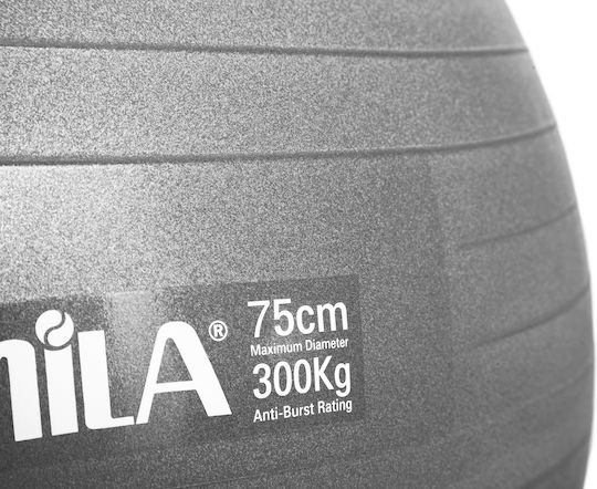 AMILA Ball Pilates 65cm in Gray Color