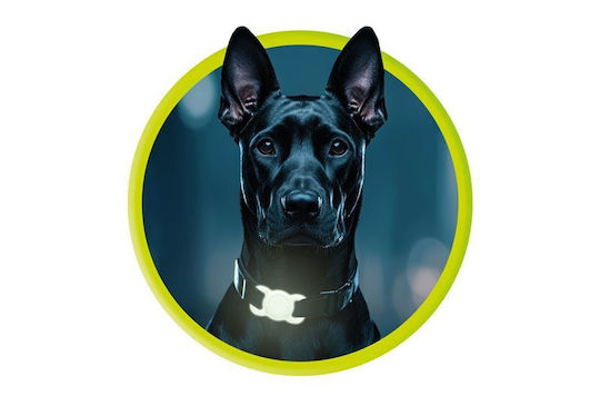 Mobile Origin Θήκη Κολάρου Κατοικιδίων Σιλικόνης για AirTag σε Πράσινο χρώμα