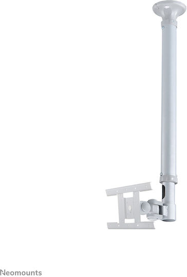 Newstar FPMA-C100SILVER Οροφής έως 30" και 12kg