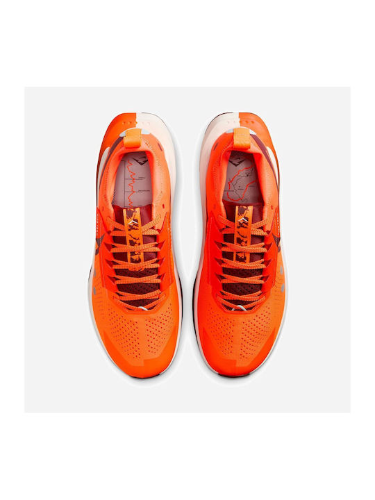 Zegama 2 Sport Shoes Running Orange