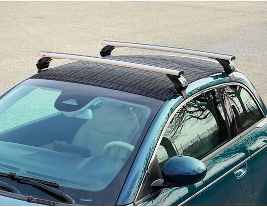 La Prealpina LP49 110cm. (with Roof Rack Legs and Lock)