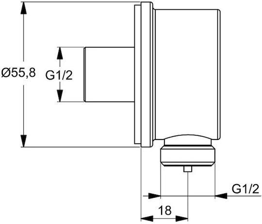 Ideal Standard Cap de duș de schimb