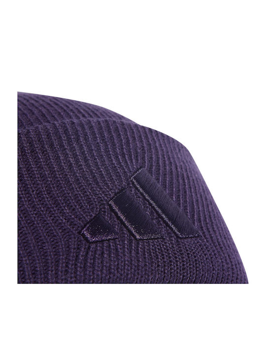 Performance Beanie Beanie Knitted in Purple color