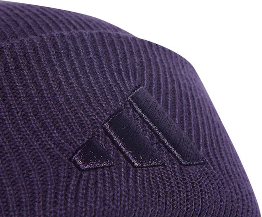 Performance Beanie Beanie Knitted in Purple color