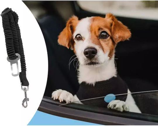 Verk Group Sicherheitsgurt Autozubehör für Hunde