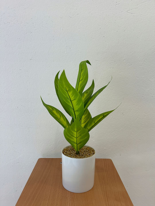 Μπονζάι σε Γλαστράκι 34cm