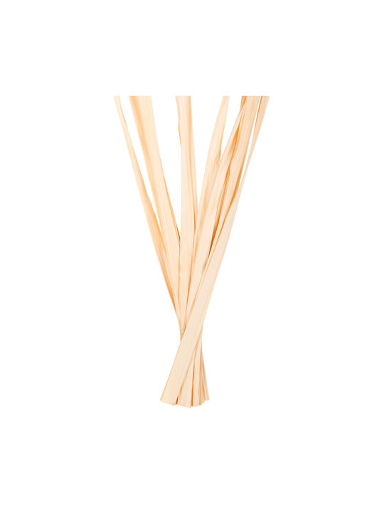 Plantă Uscată 10buc HomeMarkt