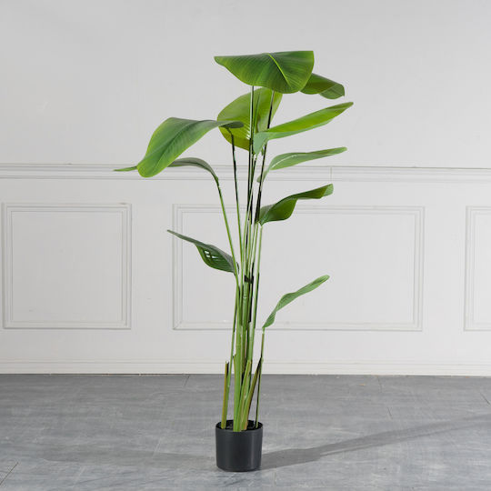 Πουλί του Παραδείσου Εξωτερικού Χώρου 180cm Supergreens