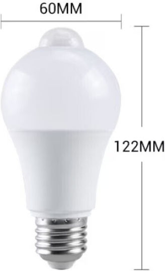 LED Bulb 12W for Socket E27 Cool White
