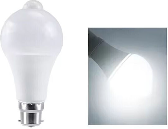LED Bulb 12W for Socket E27 Cool White