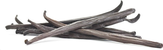 Βανιλια Fructus Uganda Gourmet Sticks