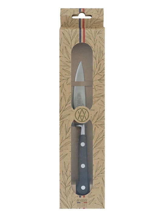 Andre Verdier Knife General Use from Stainless Steel 10cm