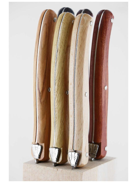 Andre Verdier Laguiole Debutant Country Set mit Rostfreiem Stahl Messer mit Sockel 12cm 6 Stück
