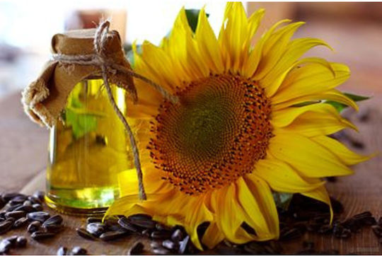 Organic Virgin Sunflower Oil 750ml Olea Tree 14644