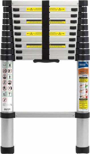Telescopic Ladder Aluminum 14 of Steps with Maximum Height 4.4m