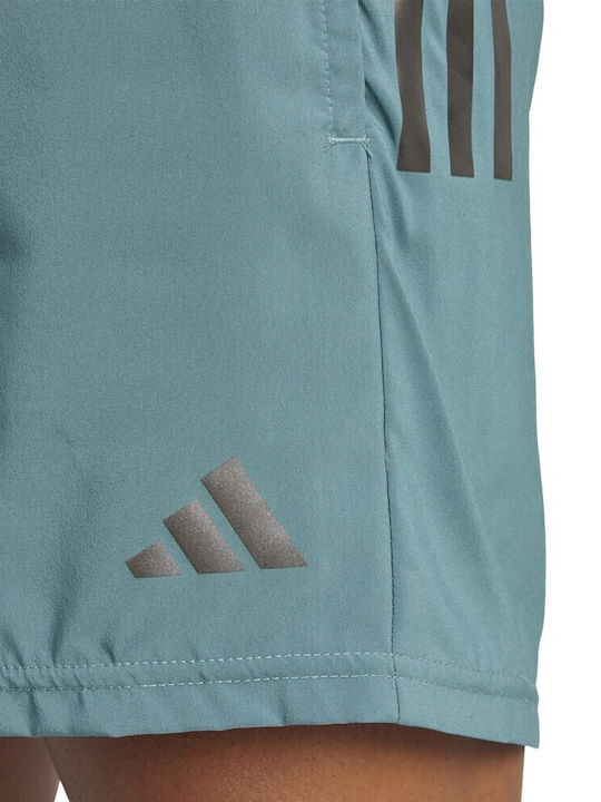 Sport Herren Shorts Grün