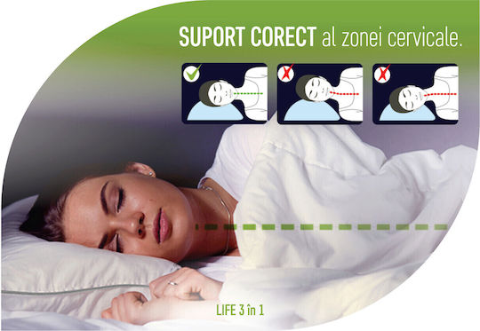 Green Future Life Kopfkissen Schlaf Memory-Schaum 50x70cm