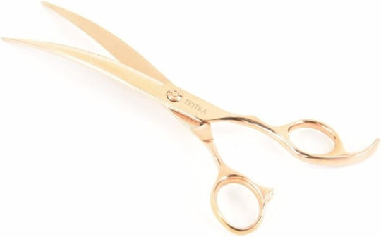 Tritra Curved Scissors Rg-24076 19 Cm
