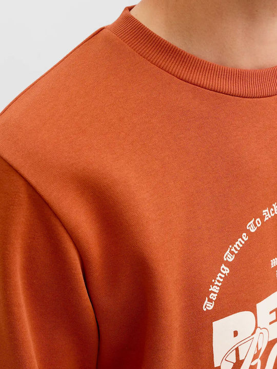 Sweatshirt Brown
