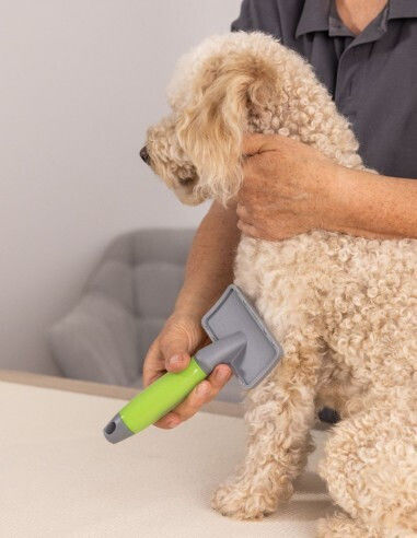 Wahl Professional Perie Mici Câini pentru Îngrijirea Blănii Gri