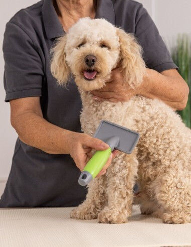 Wahl Professional Perie Mici Câini pentru Îngrijirea Blănii Gri