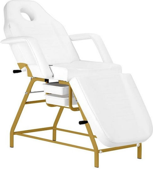 Salon Tech Beauty Chair with Adjustable Height