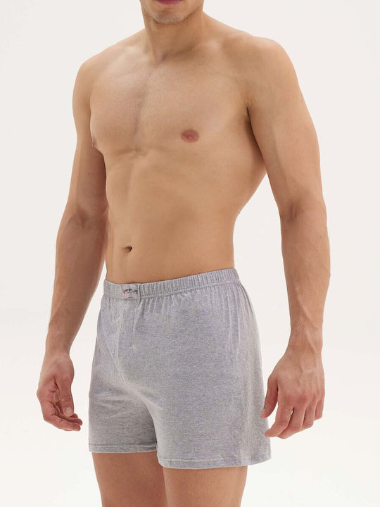 Apple Boxer Apple Boxer