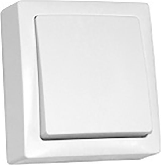Adeleq Wall-Mounted Single Wall Switch with Frame Aller Retour White