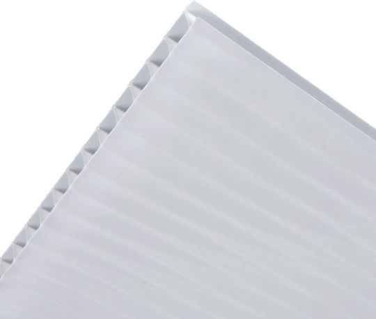 Showood Polycarbonate Sheet M3xW1.05m with Thickness 6mm 210994-5